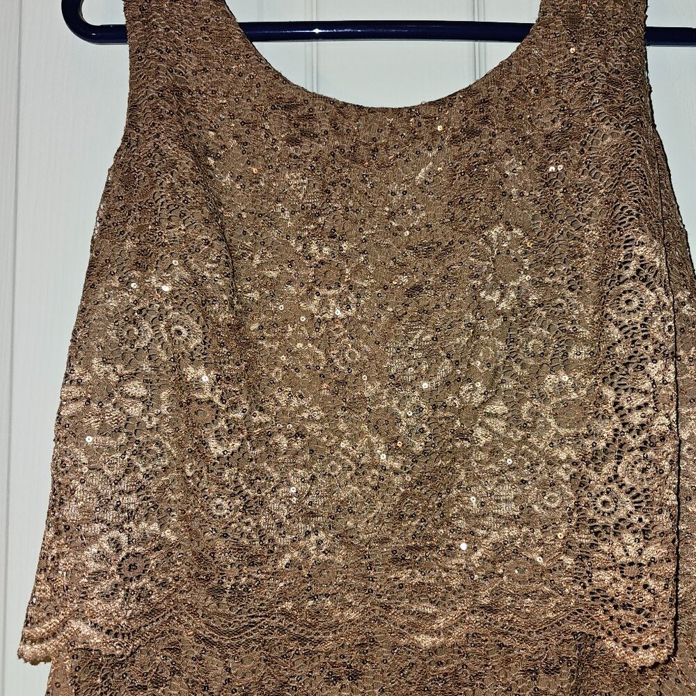 R&M Richards Gold Lace Party Dress US Size 14 Petite